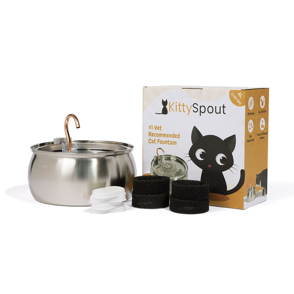 KittySpout Fontaine Santé Hydratation Pour Chats