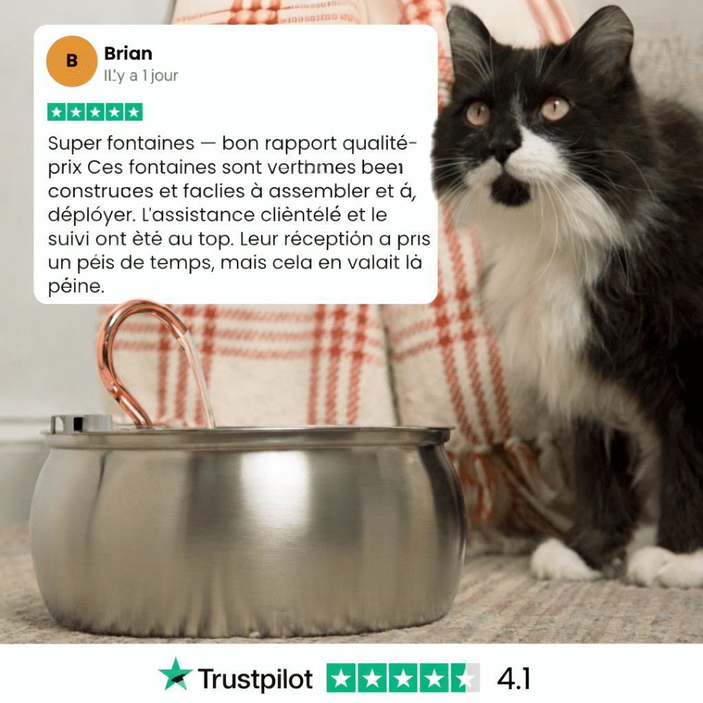 KittySpout Fontaine Santé Hydratation Pour Chats - FitGlamMix