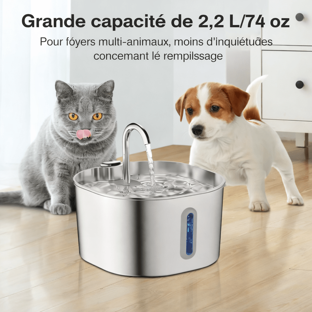 KittySpout Fontaine Santé Hydratation Pour Chats - FitGlamMix