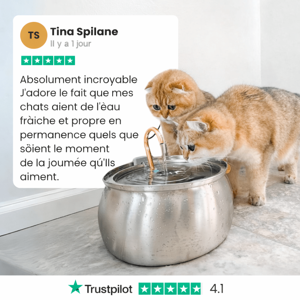 KittySpout Fontaine Santé Hydratation Pour Chats - FitGlamMix